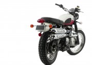 Triumph Scrambler